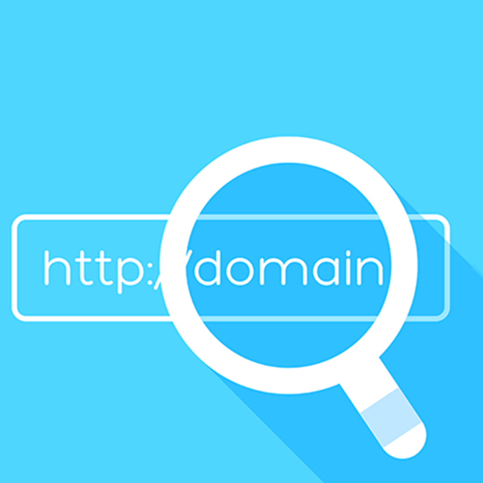 Domain Name Search