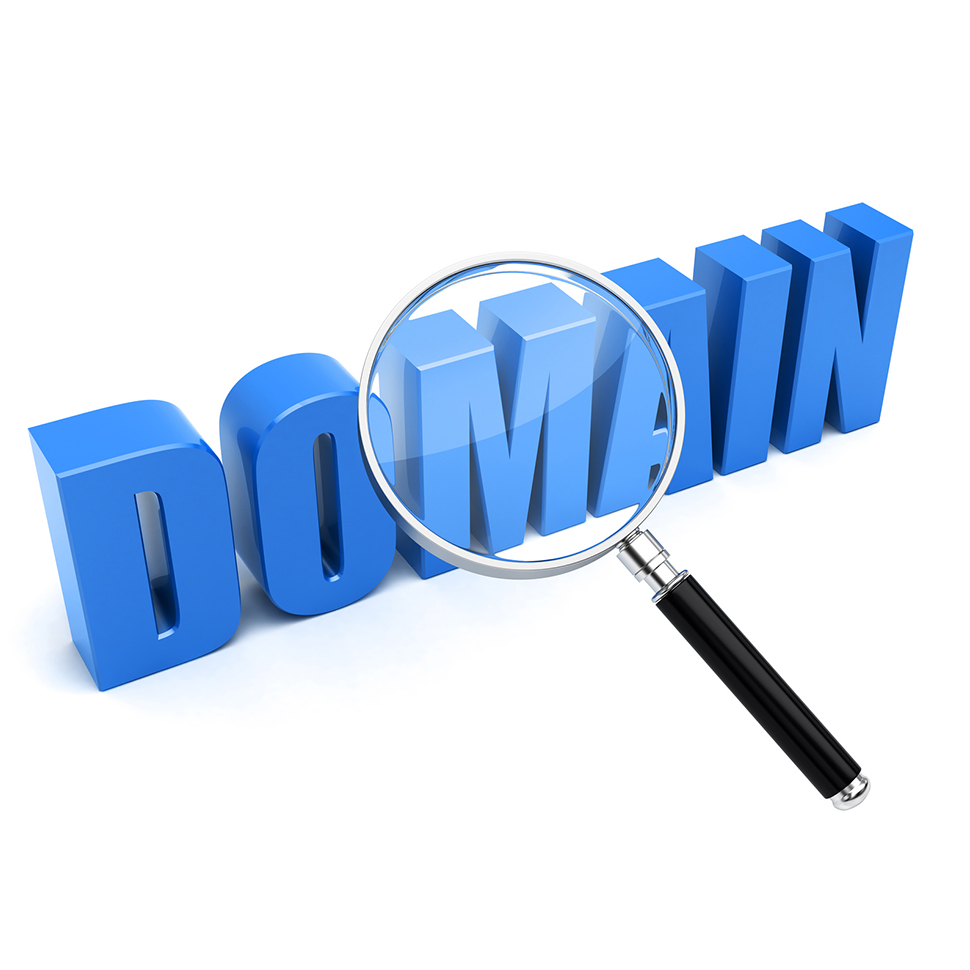 Domain Name Search